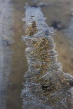 Eiskunst Mannenbach