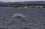 Kitesurfen