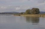 Wollmatinger Ried- der goldene Oktober 2008