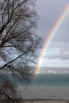 Regenbogen_07.01.2008