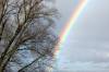 Regenbogen_07.01.2008